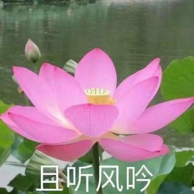 三国游侠破解版下载